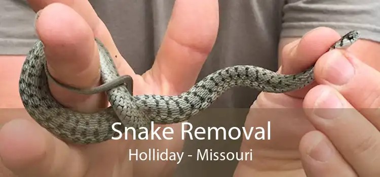 Snake Removal Holliday - Missouri