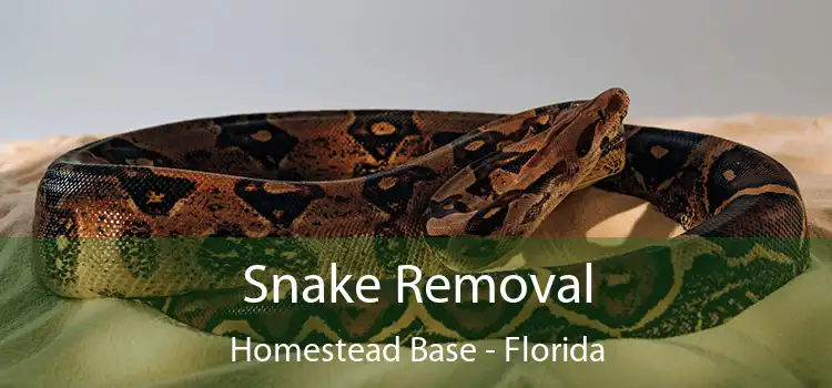 Snake Removal Homestead Base - Florida
