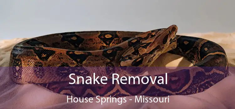 Snake Removal House Springs - Missouri