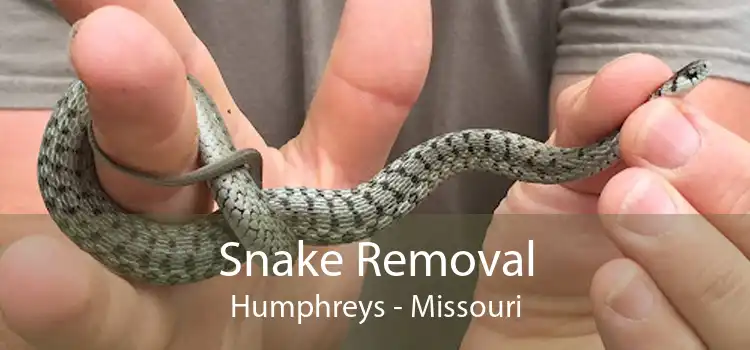 Snake Removal Humphreys - Missouri