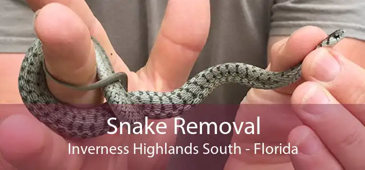 Snake Removal Inverness Highlands South - Florida