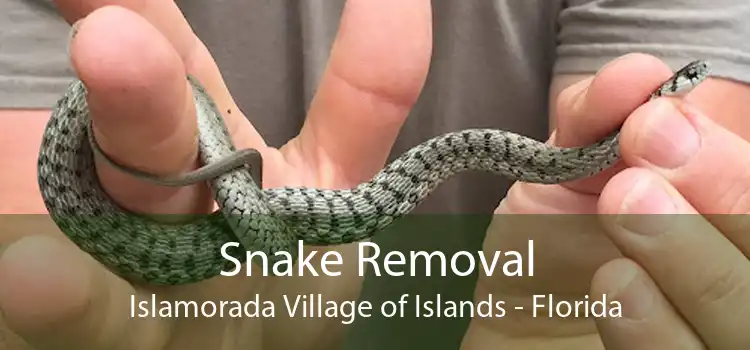 Snake Removal Islamorada Village of Islands - Florida