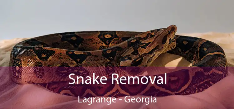 Snake Removal Lagrange - Georgia