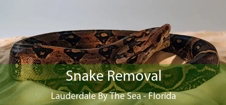 Snake Removal Lauderdale By The Sea - Florida