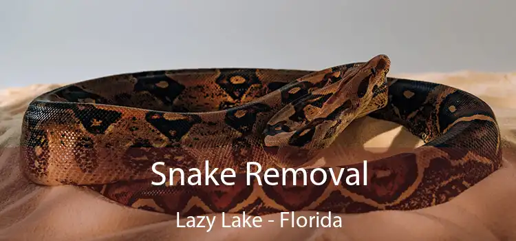 Snake Removal Lazy Lake - Florida