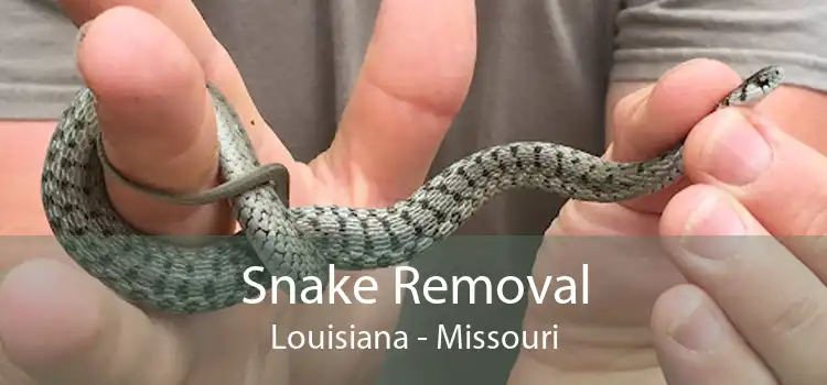 Snake Removal Louisiana - Missouri
