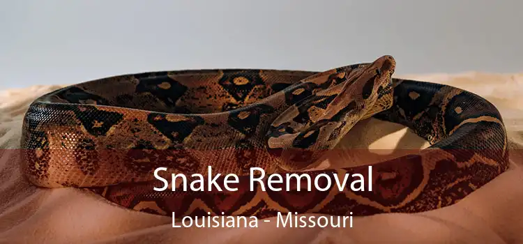 Snake Removal Louisiana - Missouri