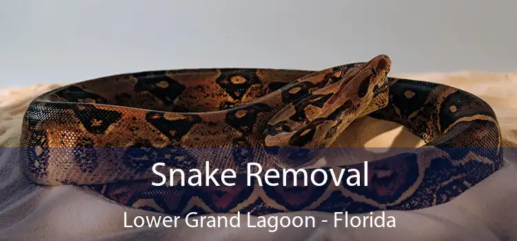 Snake Removal Lower Grand Lagoon - Florida