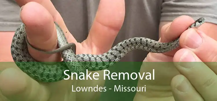 Snake Removal Lowndes - Missouri