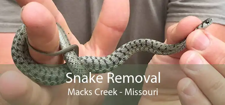 Snake Removal Macks Creek - Missouri