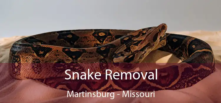 Snake Removal Martinsburg - Missouri