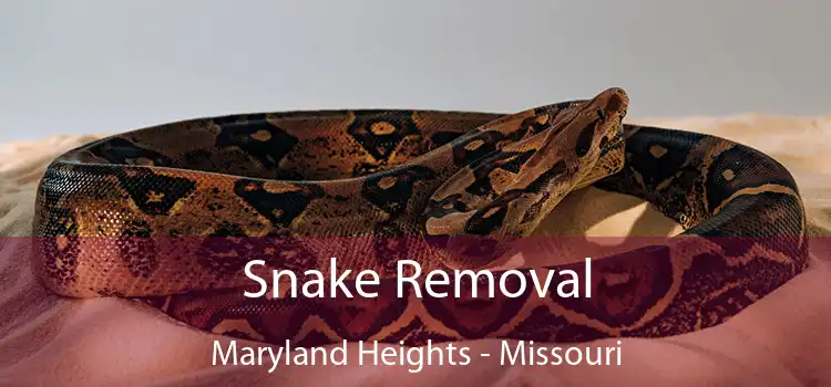 Snake Removal Maryland Heights - Missouri
