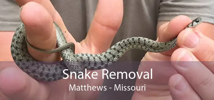 Snake Removal Matthews - Missouri