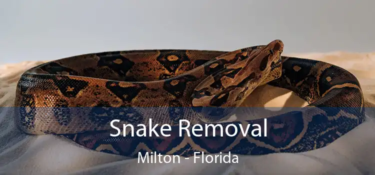 Snake Removal Milton - Florida