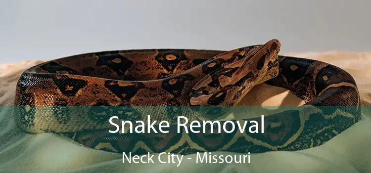 Snake Removal Neck City - Missouri