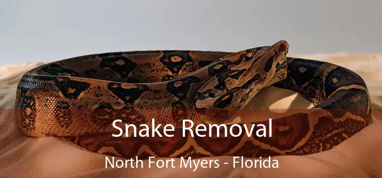 Snake Removal North Fort Myers - Florida