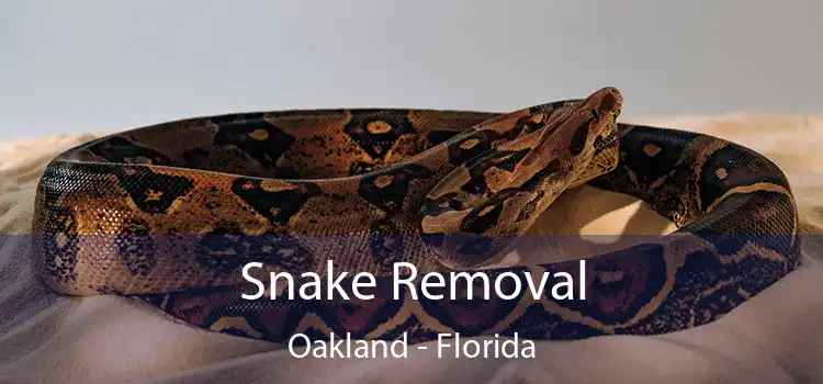 Snake Removal Oakland - Florida