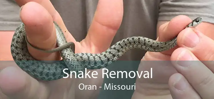 Snake Removal Oran - Missouri