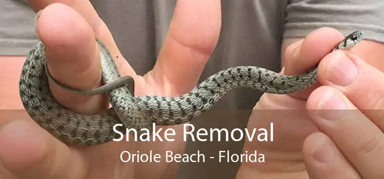 Snake Removal Oriole Beach - Florida