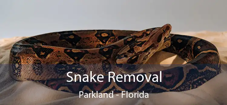 Snake Removal Parkland - Florida