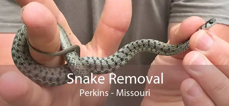 Snake Removal Perkins - Missouri