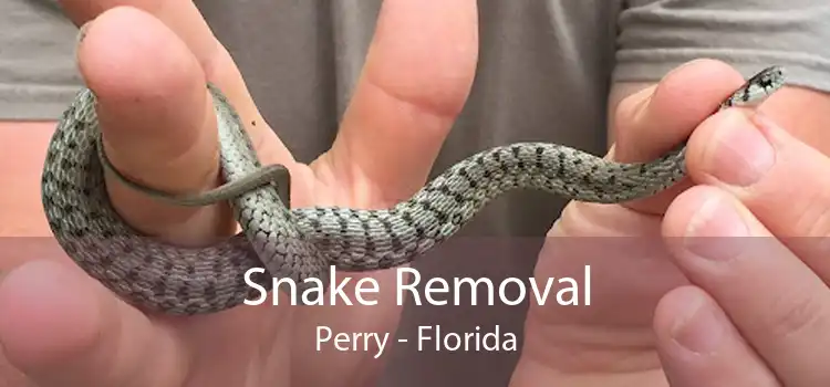 Snake Removal Perry - Florida