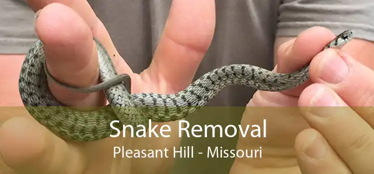 Snake Removal Pleasant Hill - Missouri