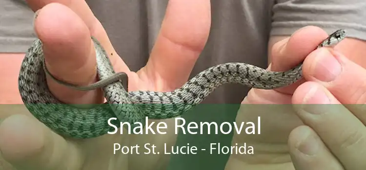 Snake Removal Port St. Lucie - Florida