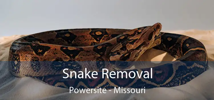 Snake Removal Powersite - Missouri