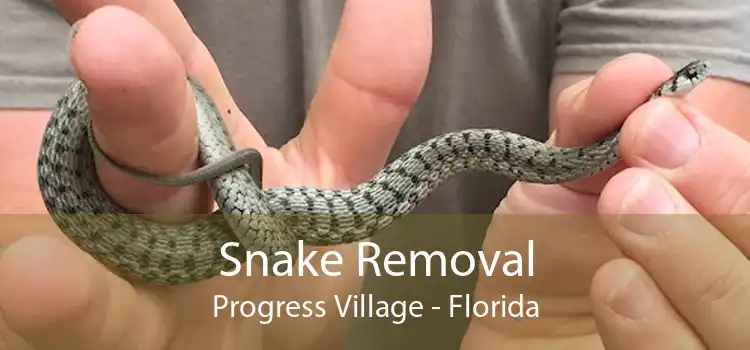 Snake Removal Progress Village - Florida