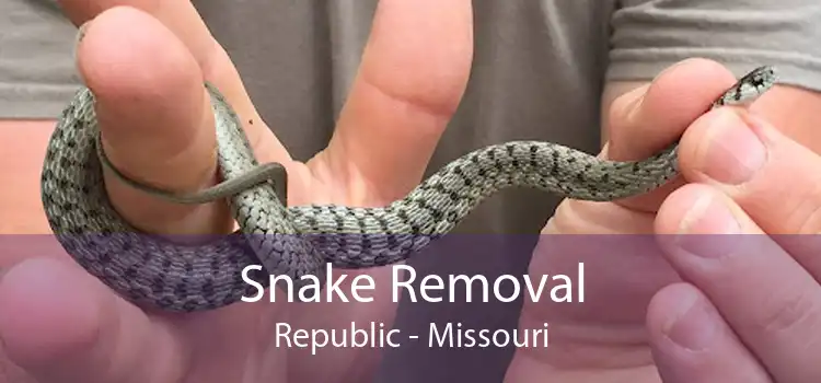 Snake Removal Republic - Missouri