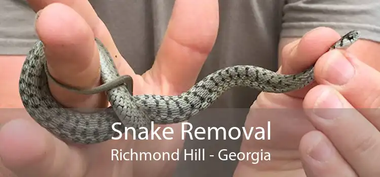 Snake Removal Richmond Hill - Georgia