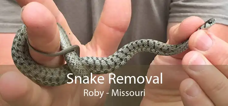 Snake Removal Roby - Missouri