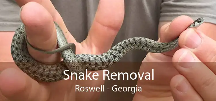 Snake Removal Roswell - Georgia