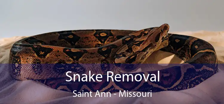 Snake Removal Saint Ann - Missouri