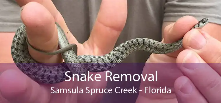 Snake Removal Samsula Spruce Creek - Florida