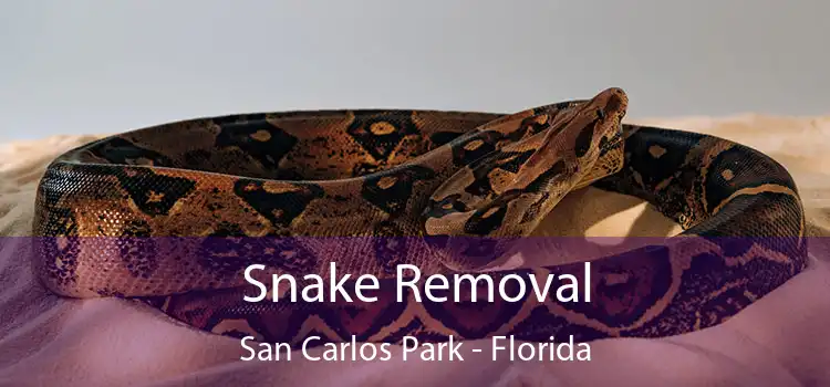 Snake Removal San Carlos Park - Florida