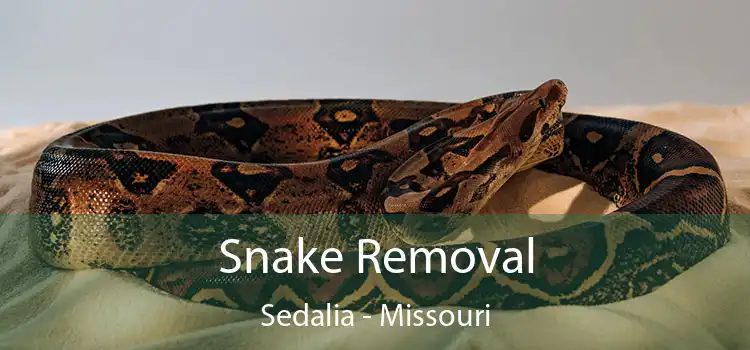 Snake Removal Sedalia - Missouri