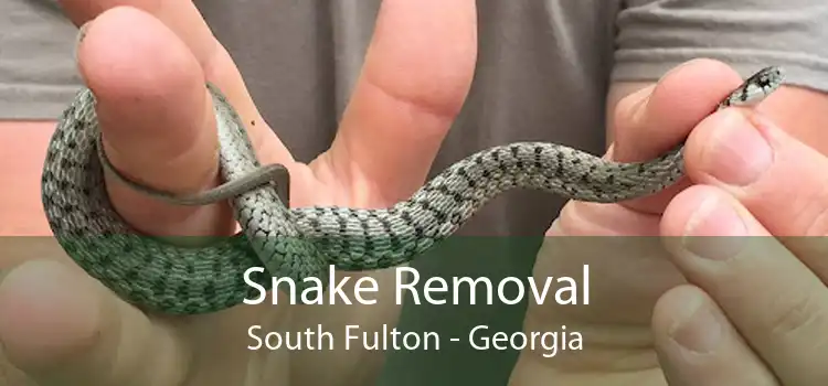 Snake Removal South Fulton - Georgia