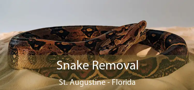 Snake Removal St. Augustine - Florida