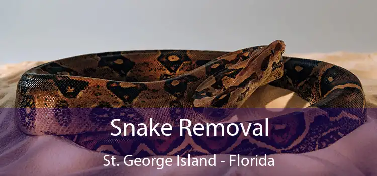 Snake Removal St. George Island - Florida