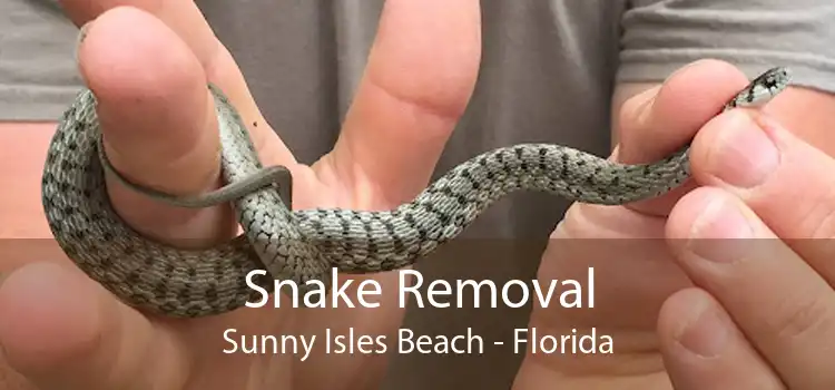 Snake Removal Sunny Isles Beach - Florida