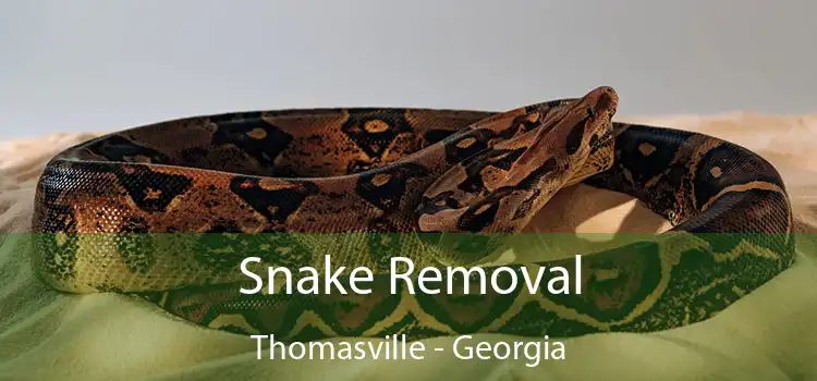 Snake Removal Thomasville - Georgia