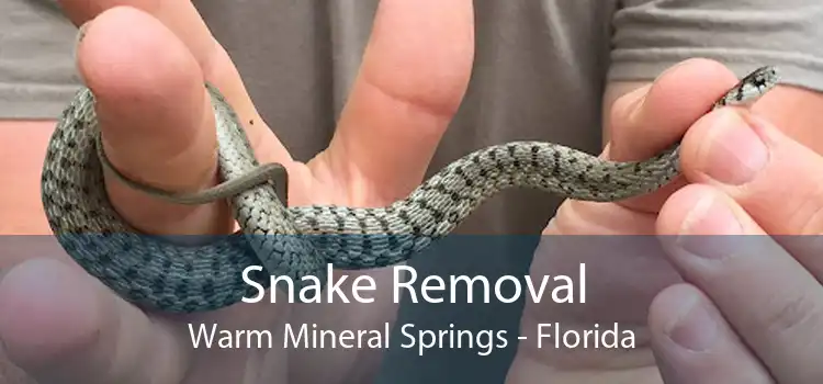 Snake Removal Warm Mineral Springs - Florida