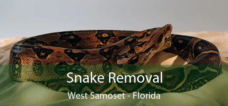 Snake Removal West Samoset - Florida