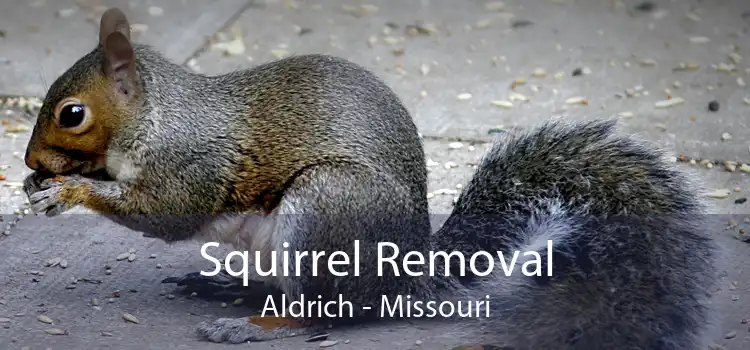 Squirrel Removal Aldrich - Missouri