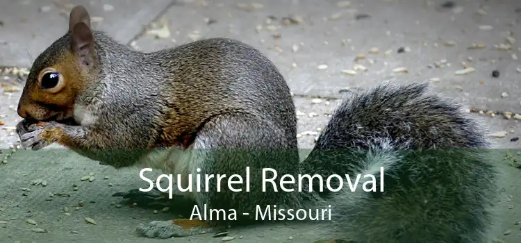 Squirrel Removal Alma - Missouri