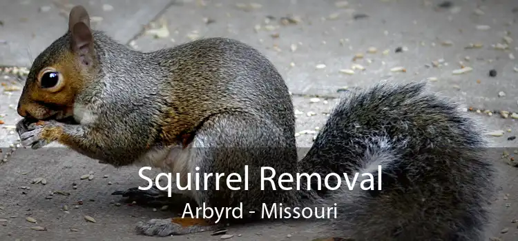 Squirrel Removal Arbyrd - Missouri