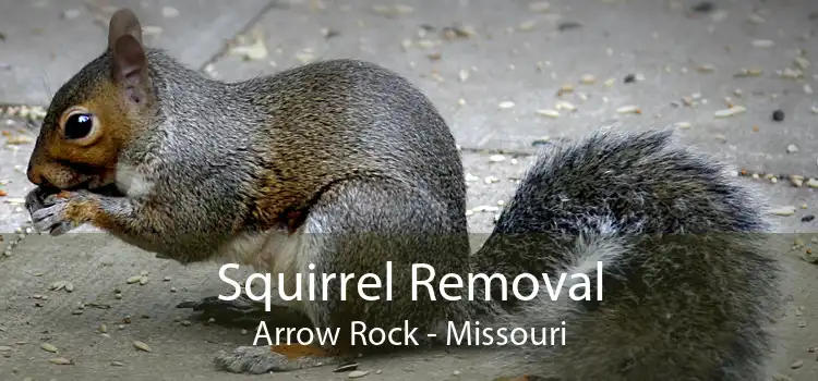Squirrel Removal Arrow Rock - Missouri