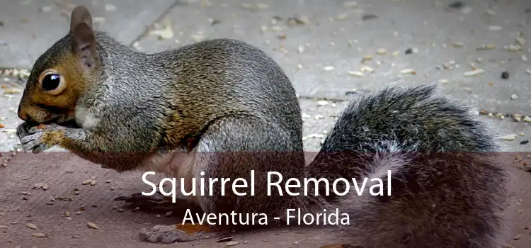 Squirrel Removal Aventura - Florida